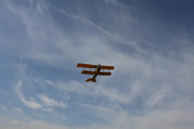 IMG 5798